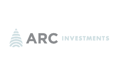 African Rainbow Capital Investments Limited 